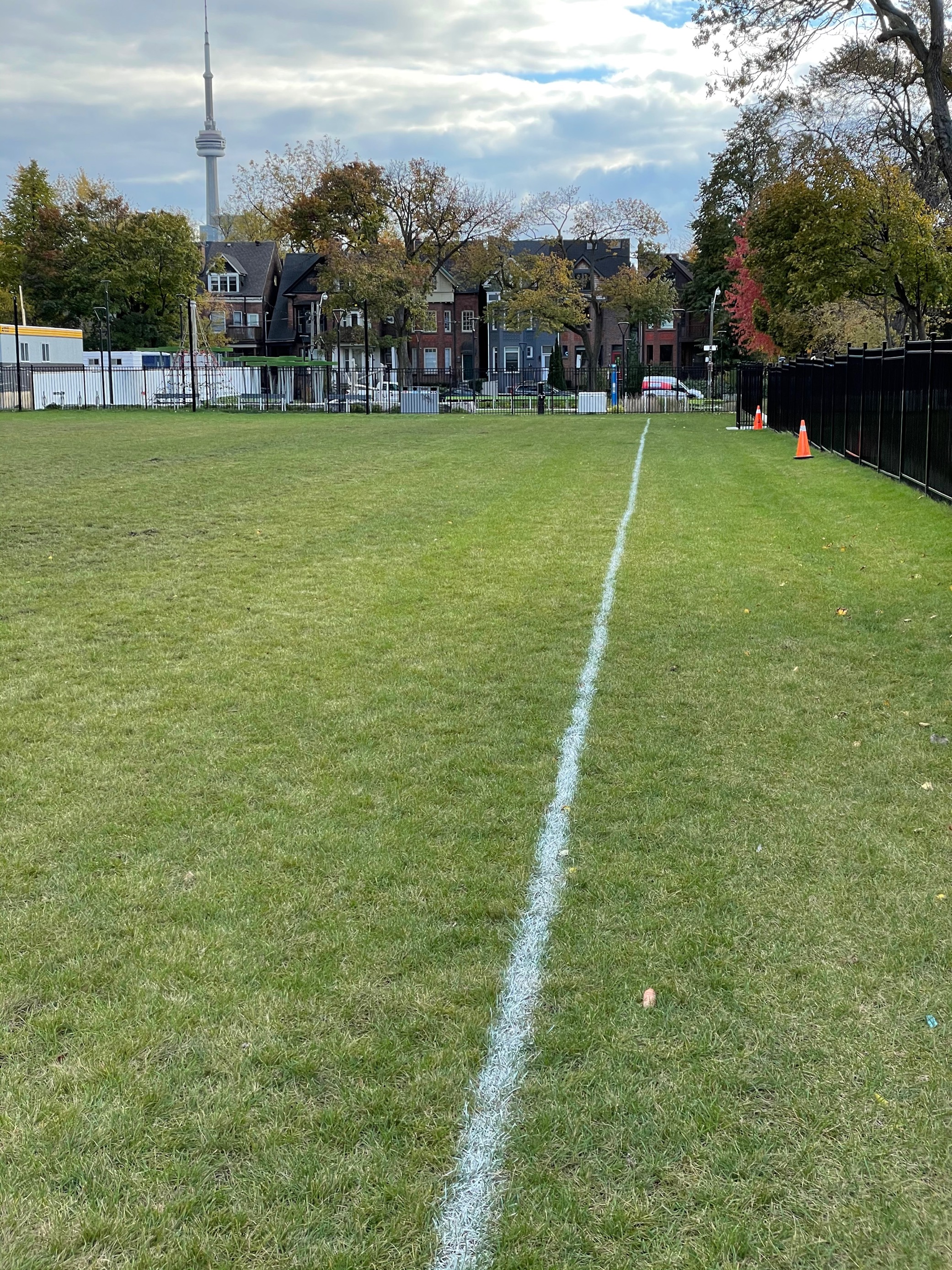 Robert Street field with CN Tower in background