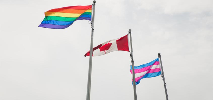 Pride flag, Canadian flag and trans flag flying on flagpoles