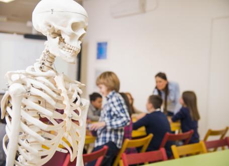 A skeleton in the fore ground, students in the back ground.
