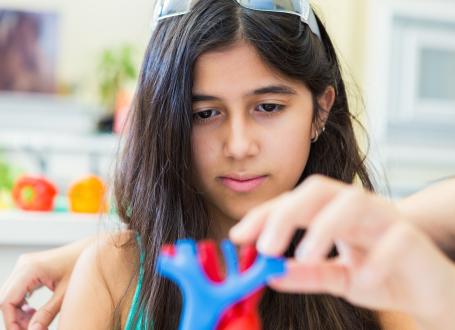 A girl examining a model of a heart