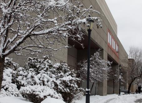 snow covered branches in front of the Athletic Centre building entrance